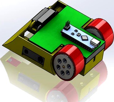 mini sumo