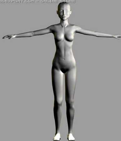 Natural Female and Male in T-Pose Base Mesh Bundle 3D Model by  Valerii-Kaliuzhnyi