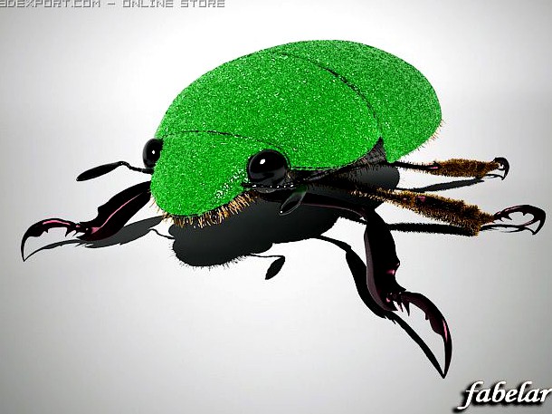 Scarab 3D Model