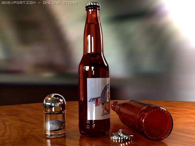 Beer and salt 3D Model