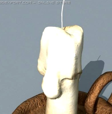 Candle 3D Model