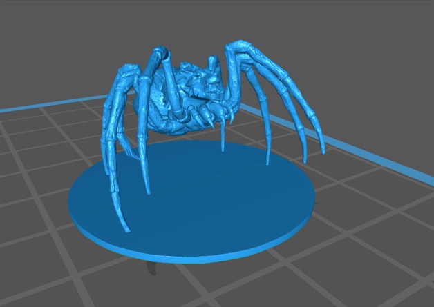 Wolf Spider