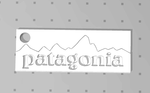 Patagonia Keychain