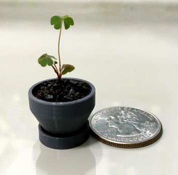 Nano Pot with drainage hole and a saucer
