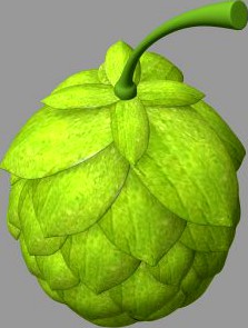 Hops 3D Model