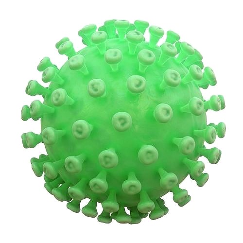 Coronavirus
