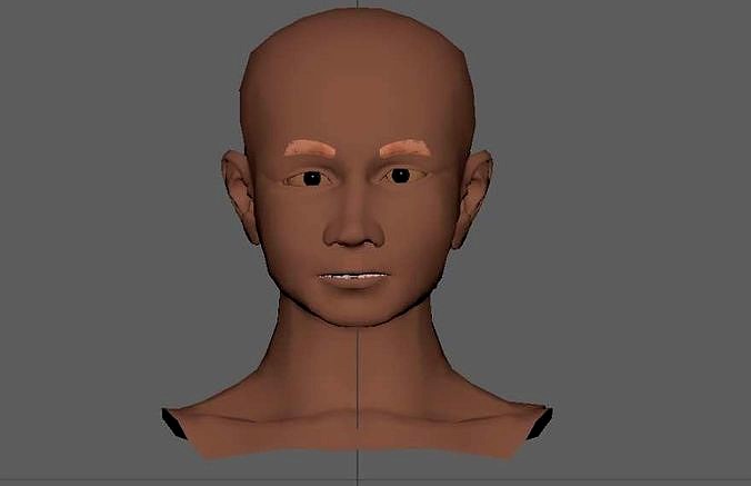 Male head basic model
