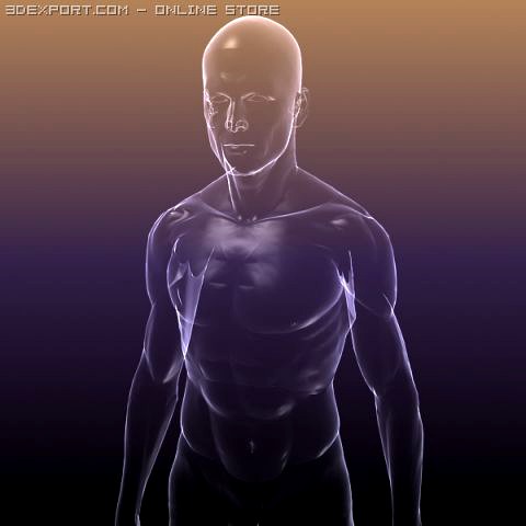 Human body  silhouette of a Male 3D Model