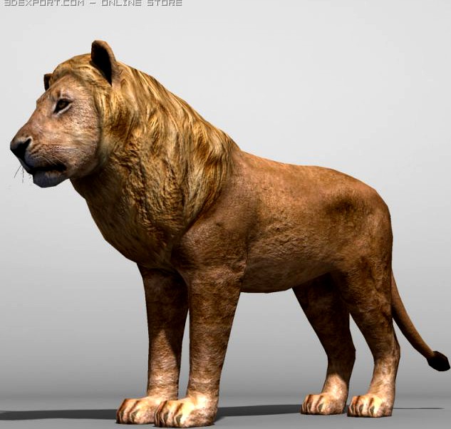 Lion 3D Model