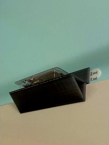 Shower Ant Trap Shelf by amarand