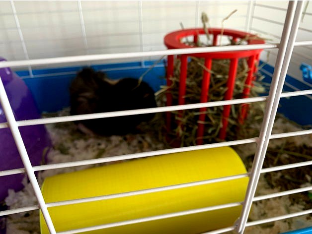 Guinea Pig Hay Feeder (remixed) by GGREINER