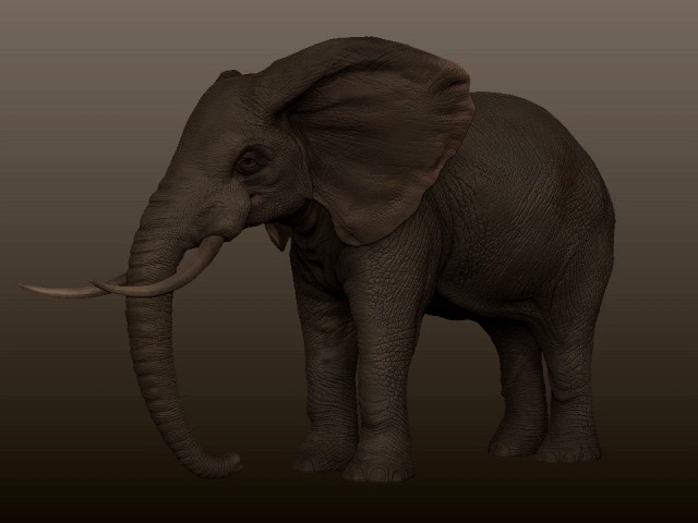 Elephant 3D Model
