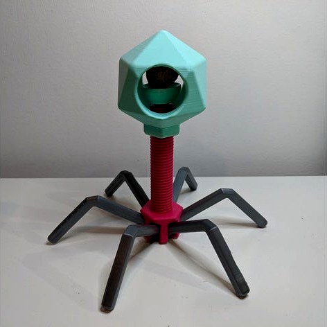 Nutcracker Phage by fucosk