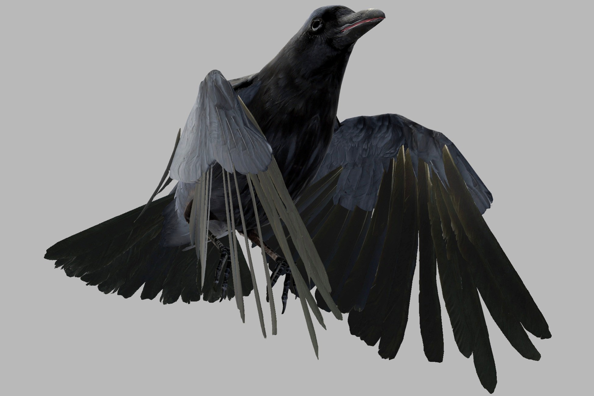 Crow pack