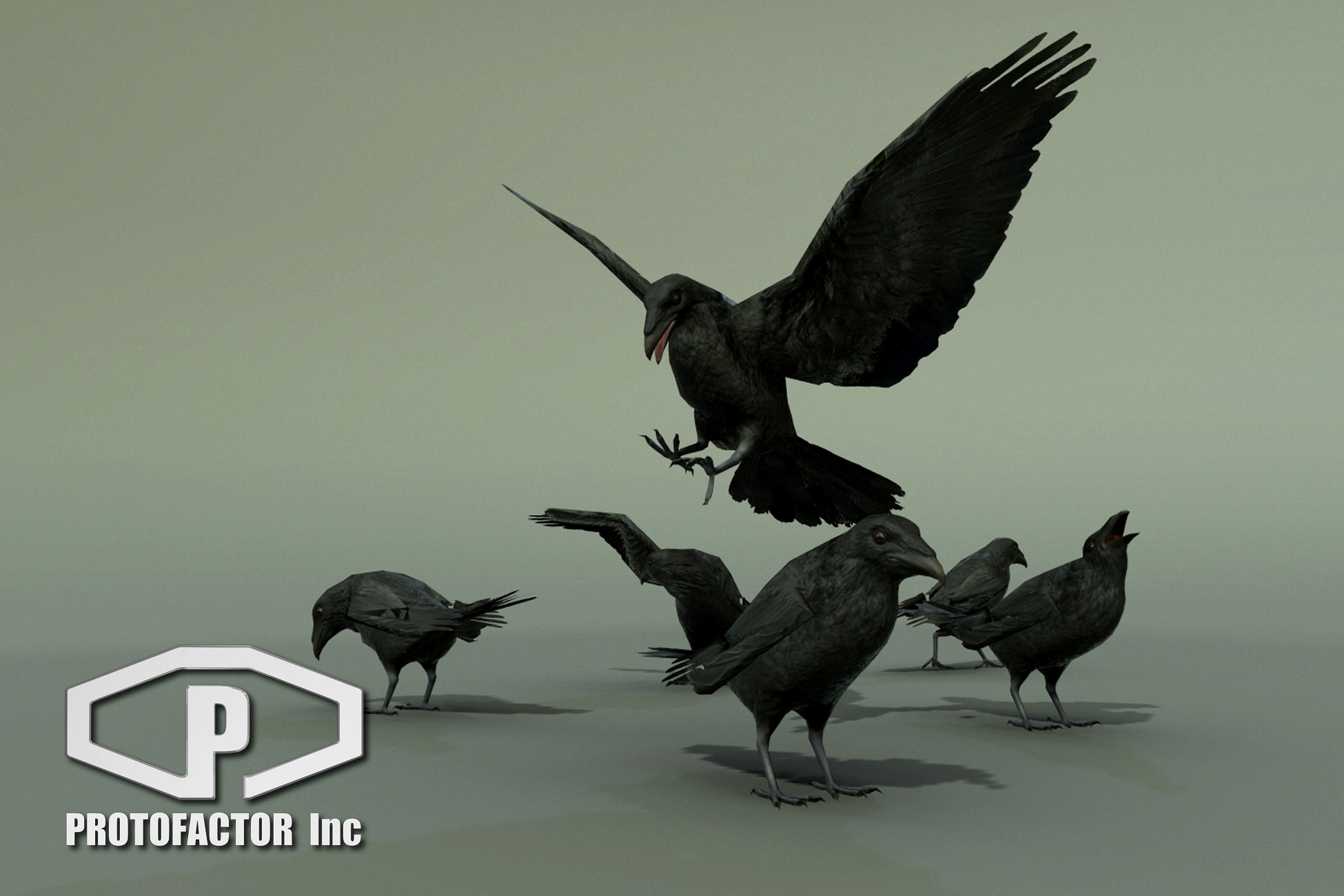 CROW