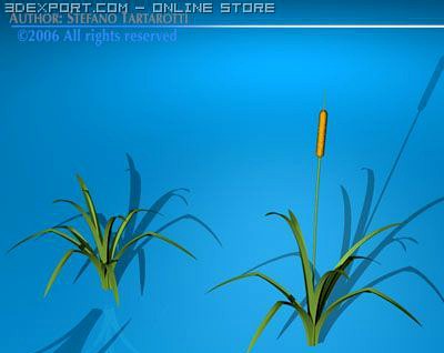 Pond plant 3D Model