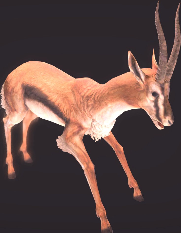 Gazelle