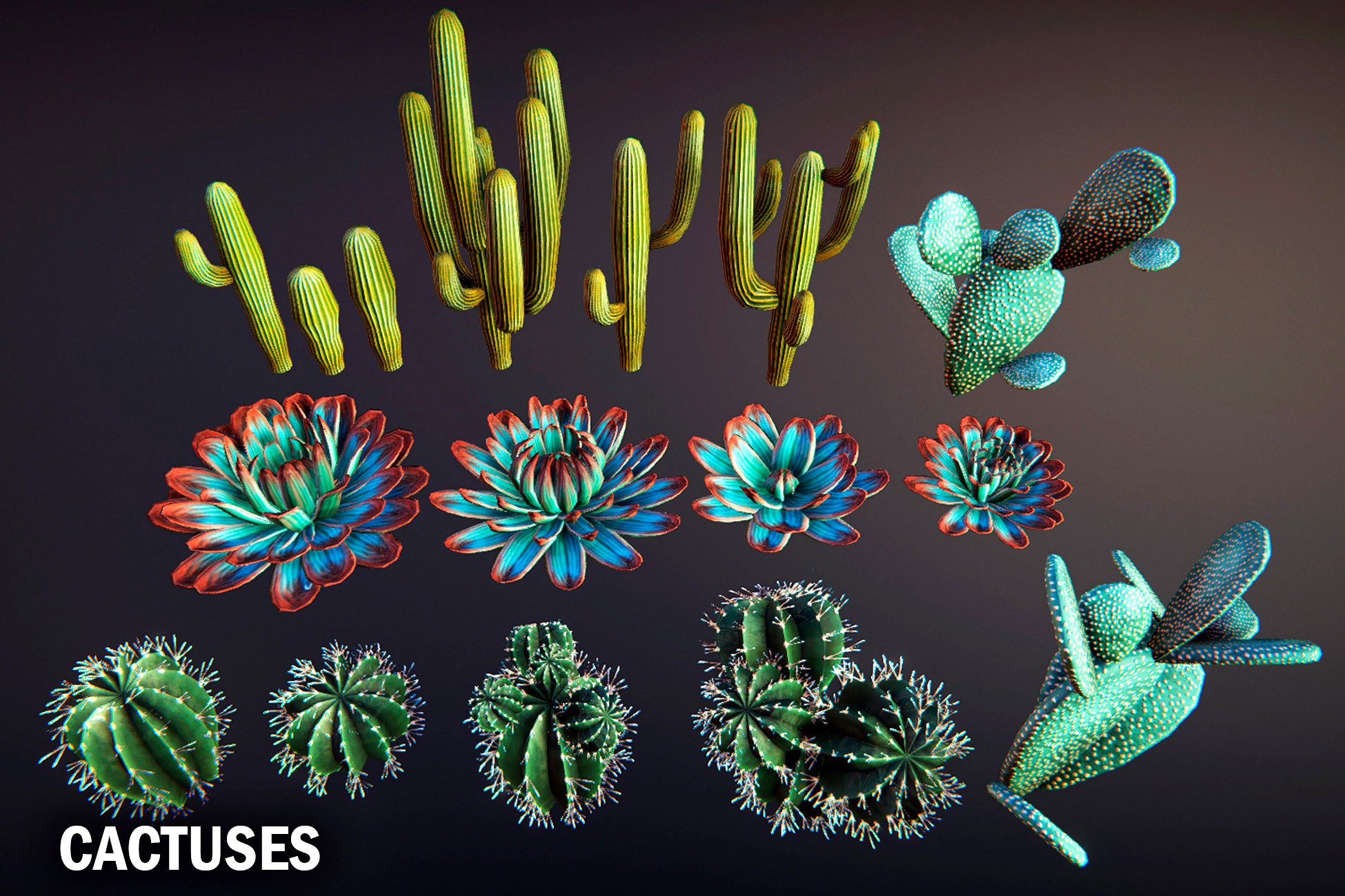 Cactuses