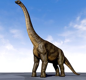 Brachiosaurus (Giraffatitan)