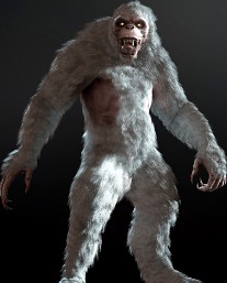 Yeti