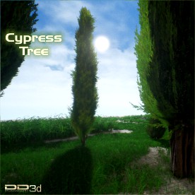 Cypress Tree