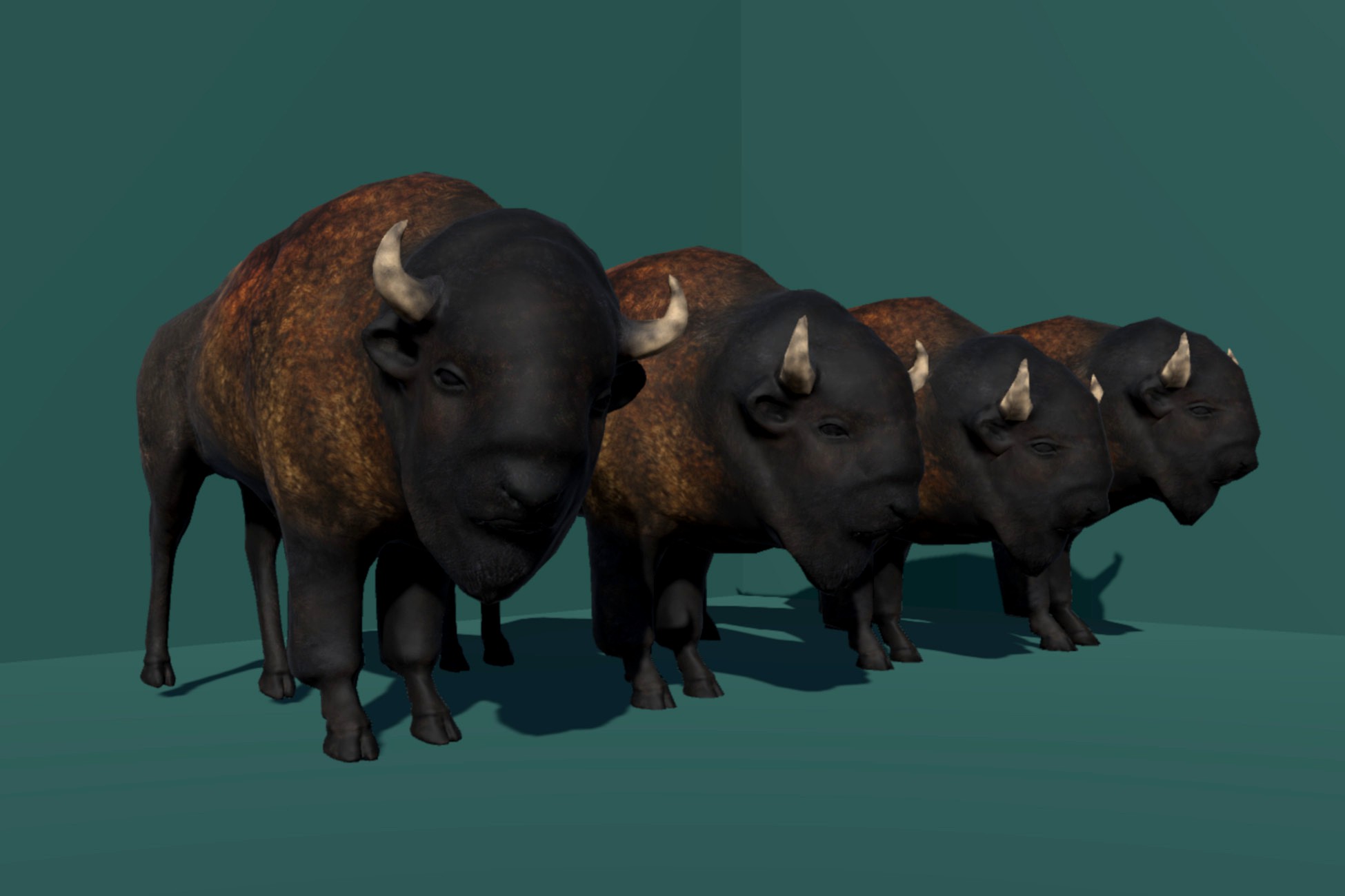 PIDI - American Bison