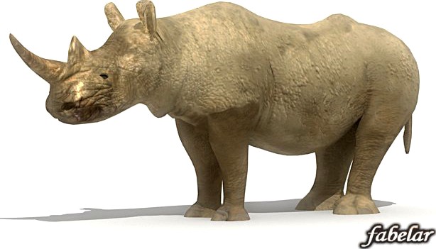 Rhinoceros 3D Model