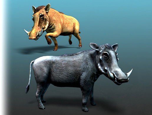 Cartoon Animal - Warthog