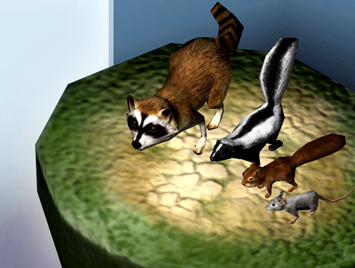 City Animals: Rodents