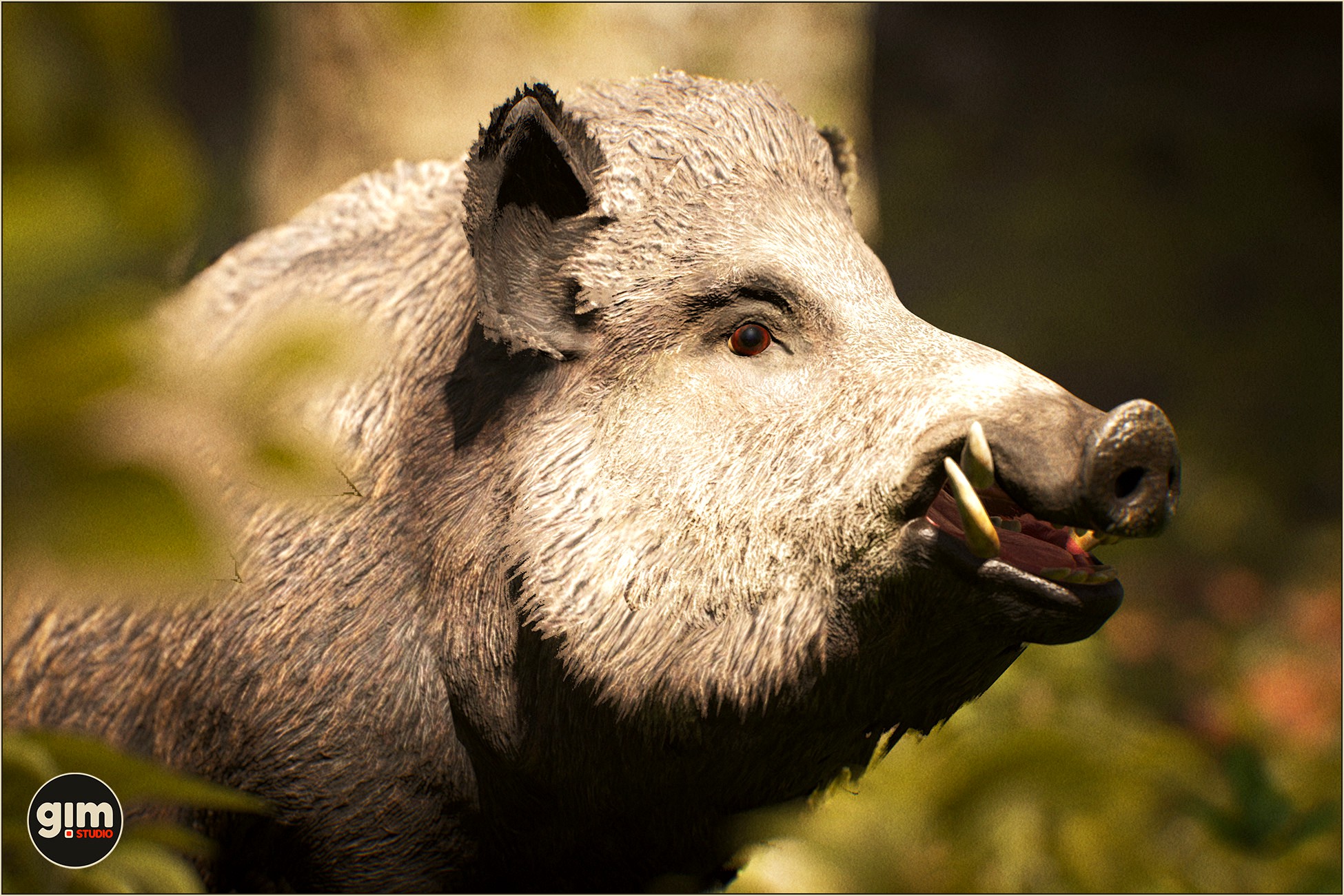 Animalia - Wild Boar (male)