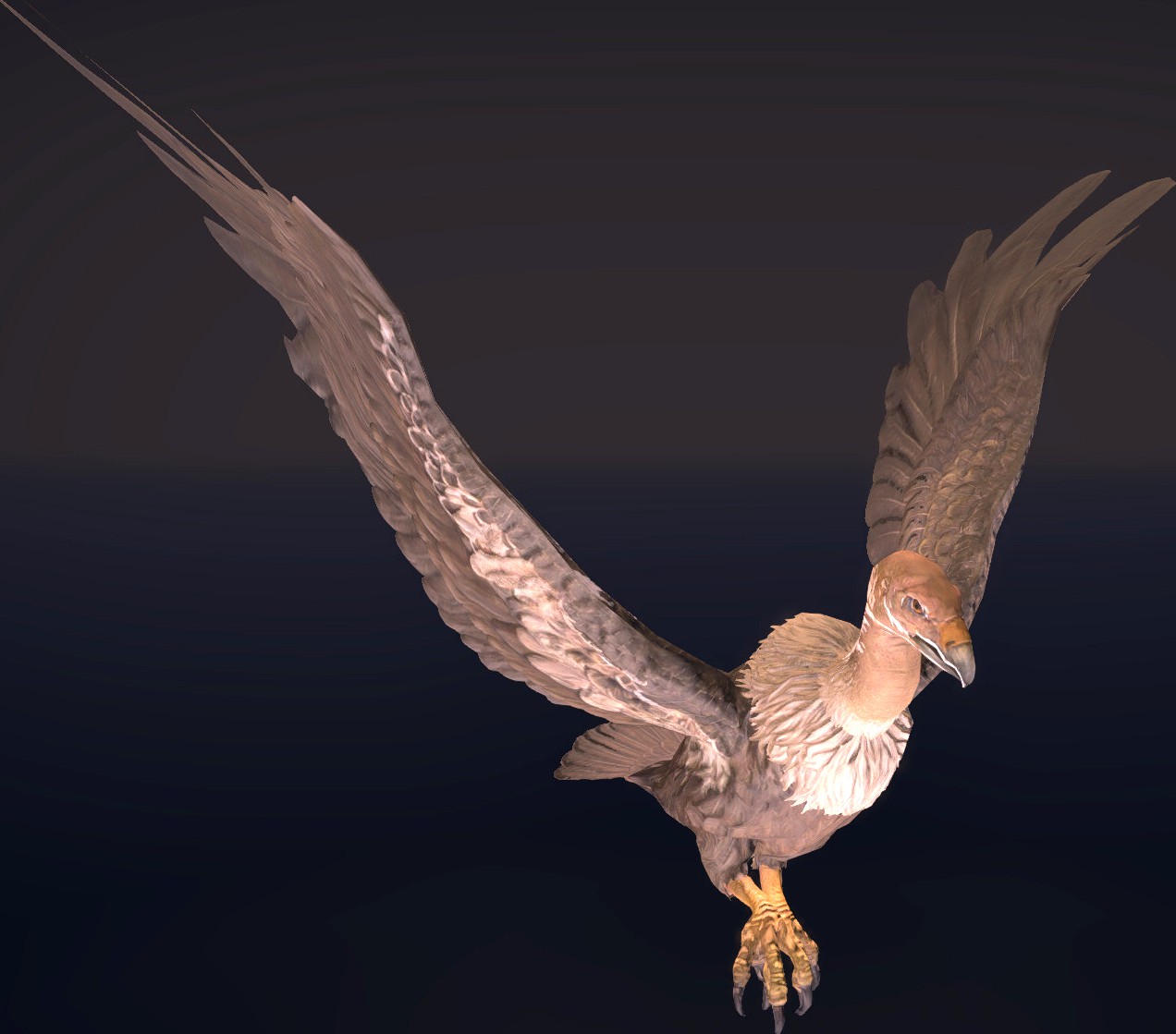 Buzzard