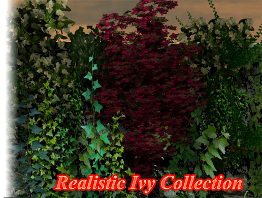 Realistic Ivy Collection