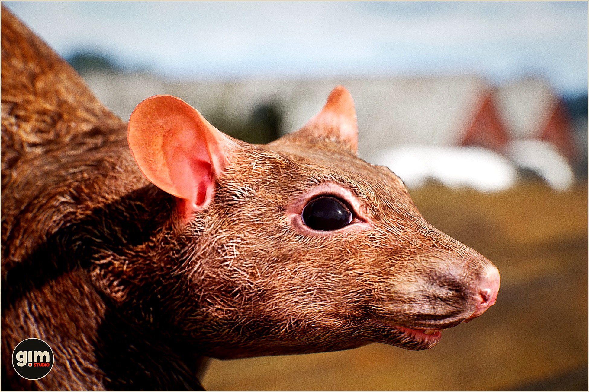 Animalia - Rat