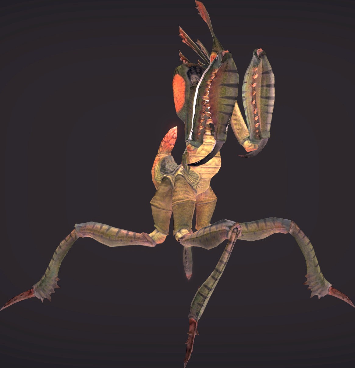 Mantis