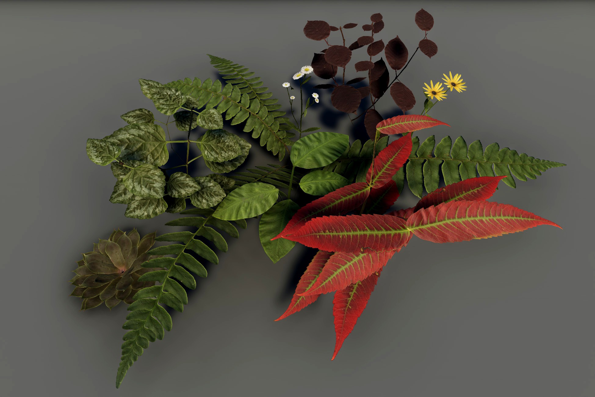 PBR Plant Pack Volume 2