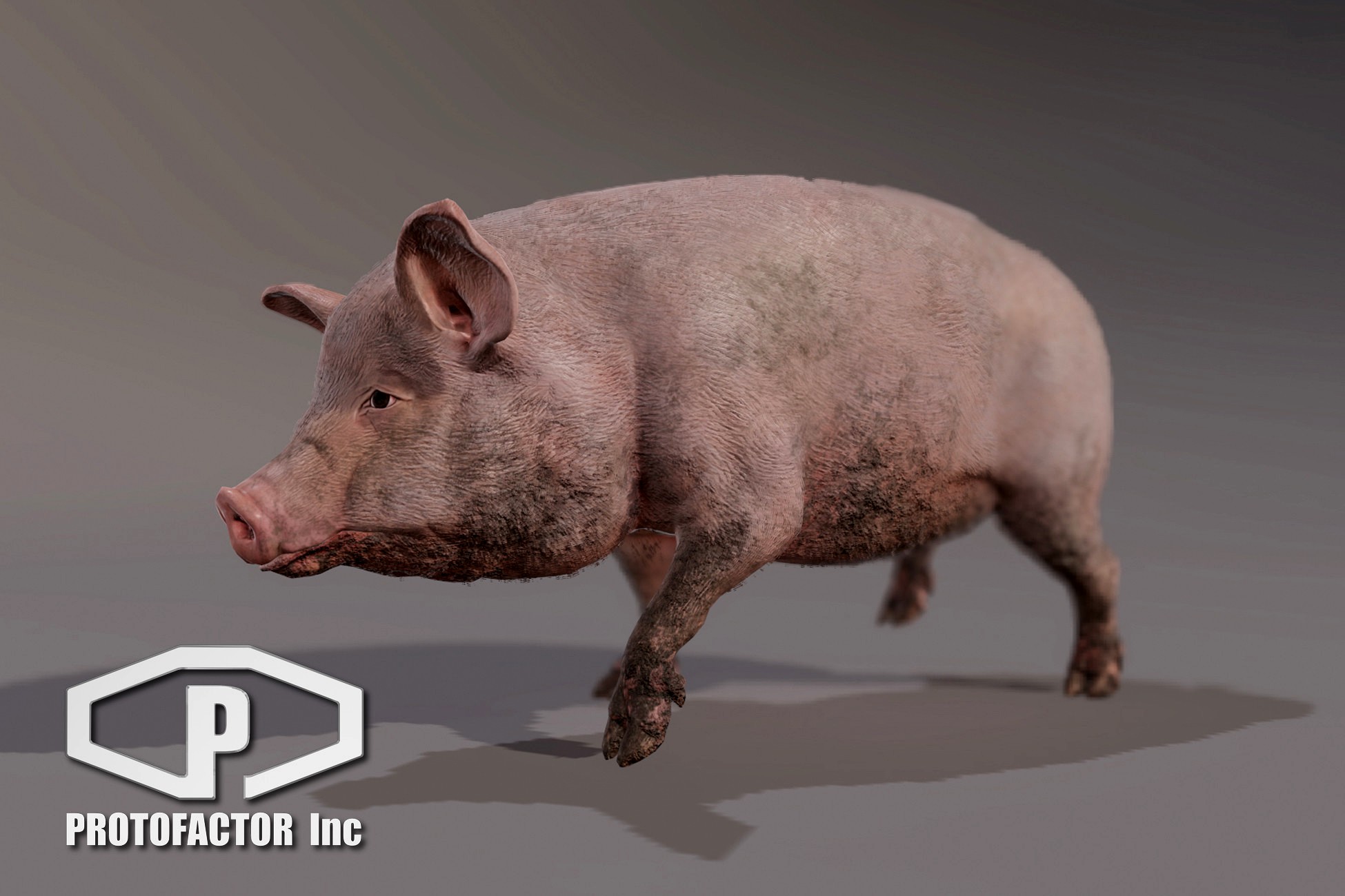 HOG