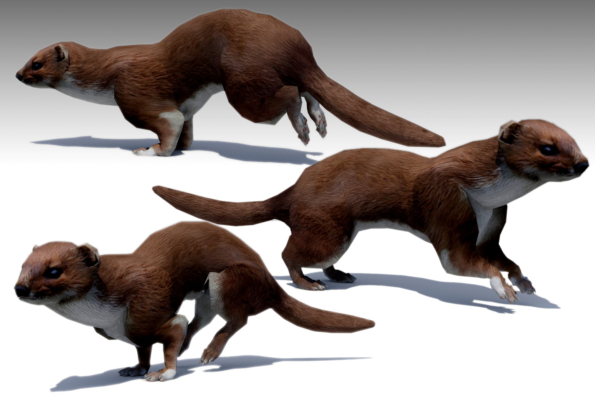 Weasel