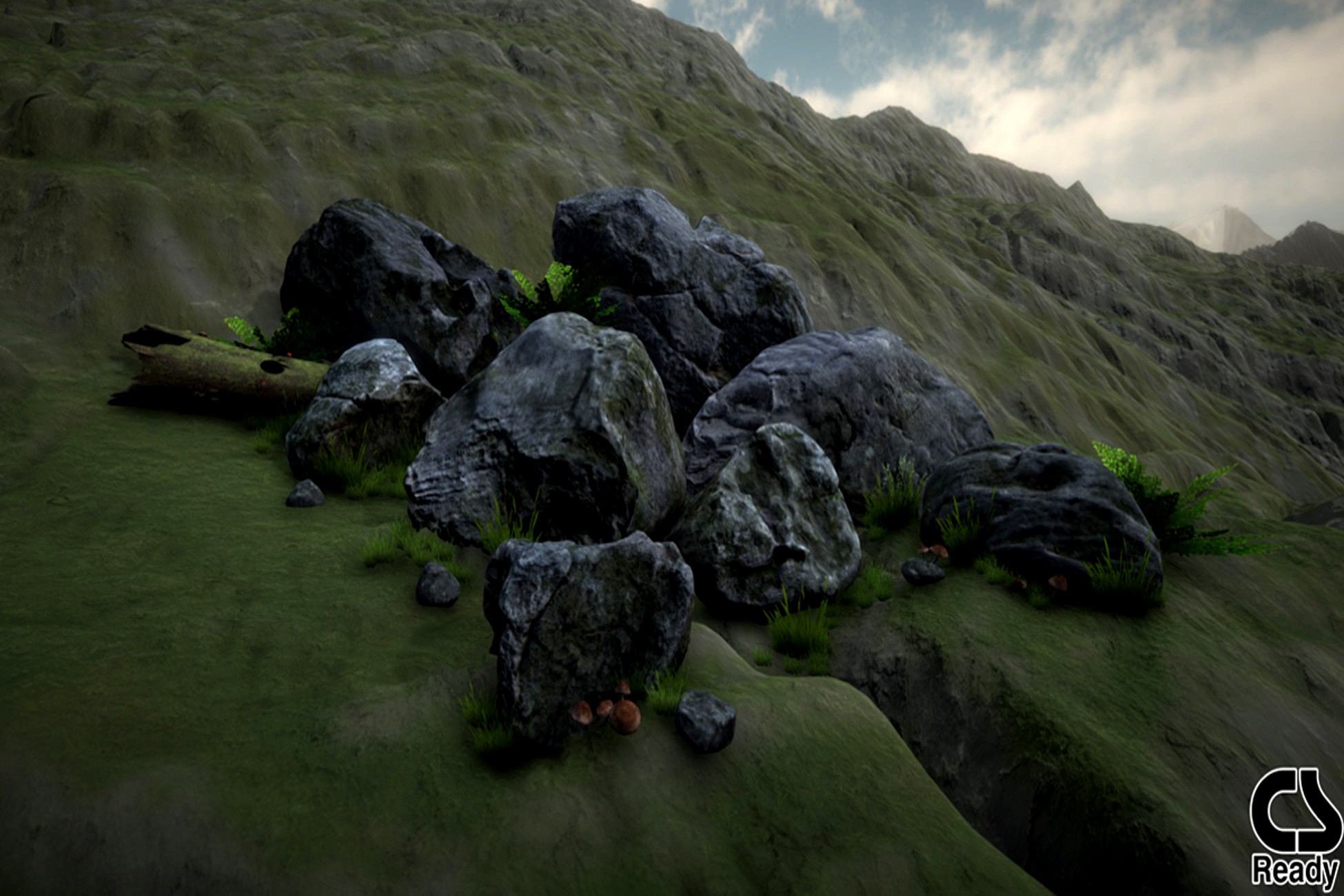 Mossy Rocks and Boulders
