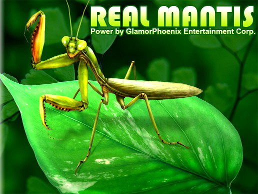 Real-Mantis