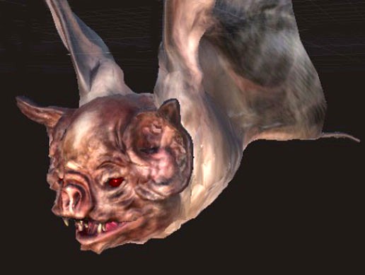 Bat