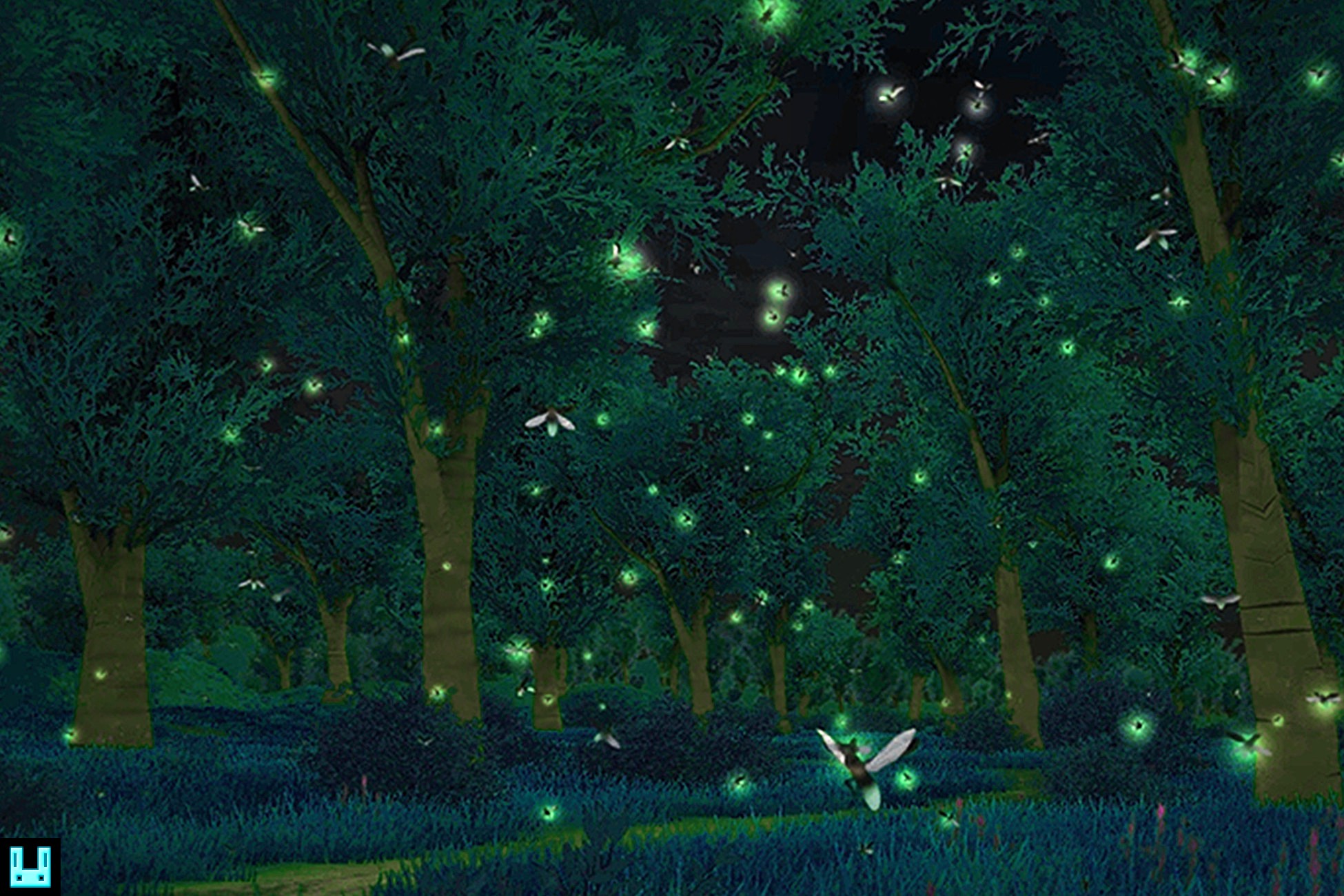 Insect Firefly