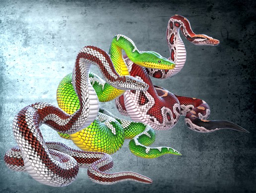 Animated Pythons PBR Volume 2