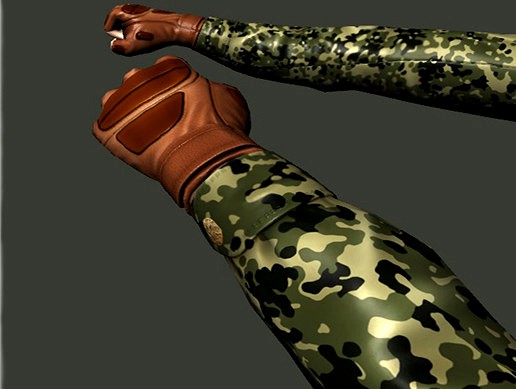 Animated FPS Hands!