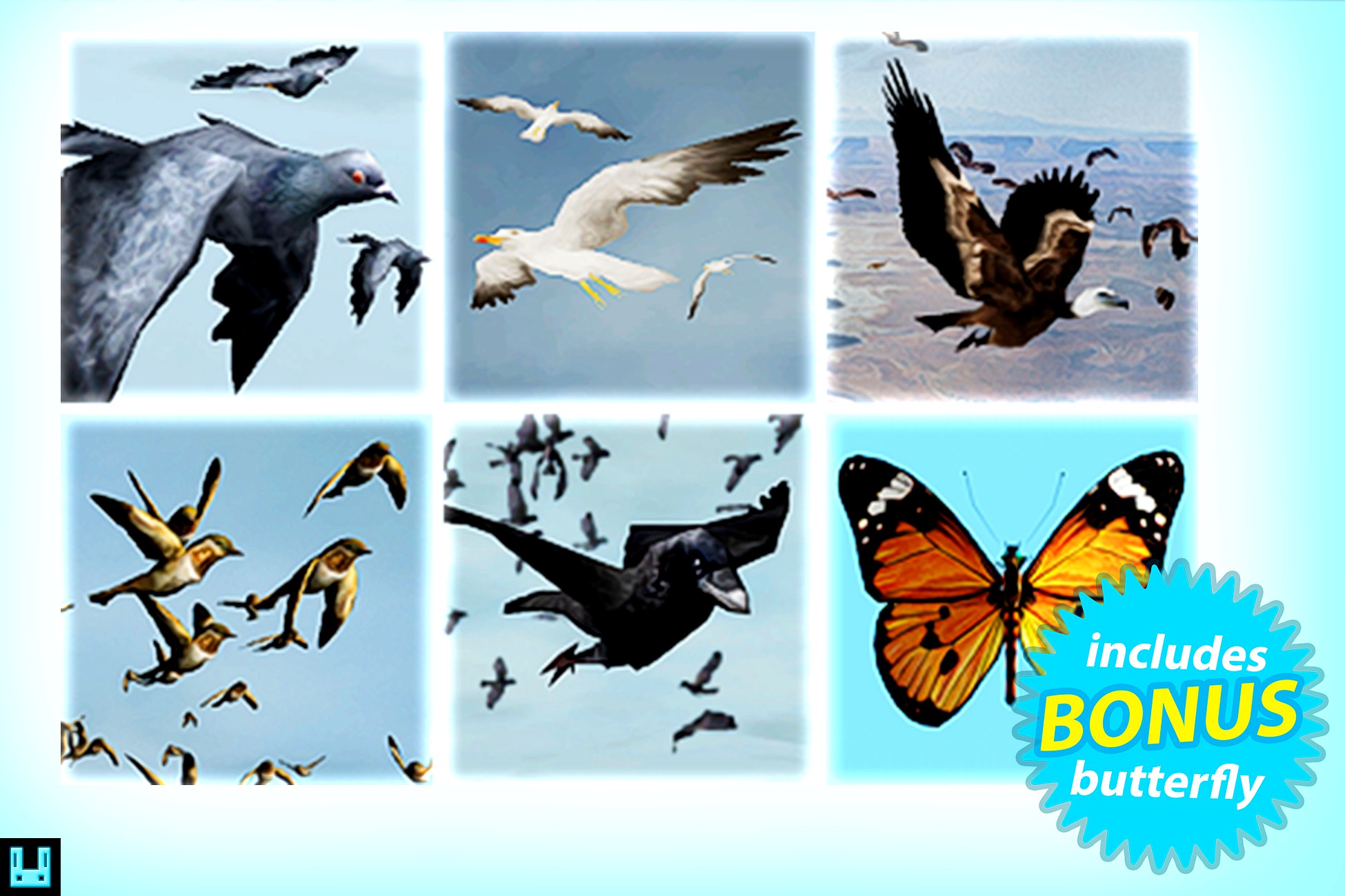 Bird Flock Bundle