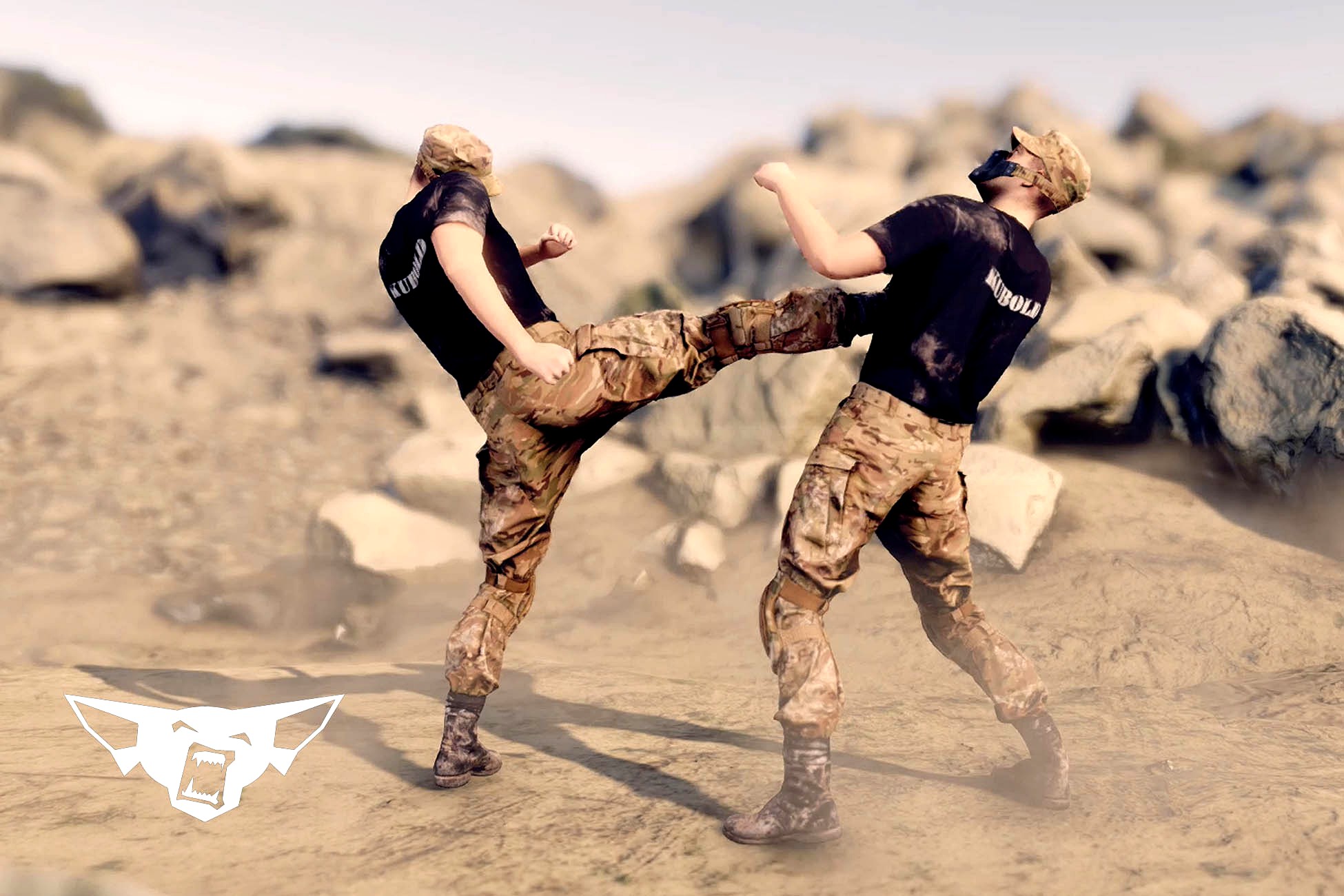 Fighting Animset Pro