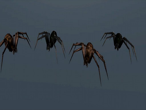 Monster Spiders