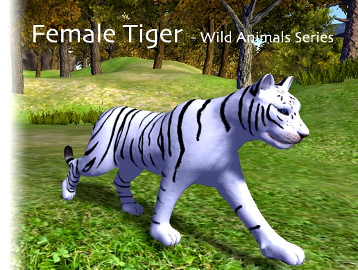 Animated Tigers - Female