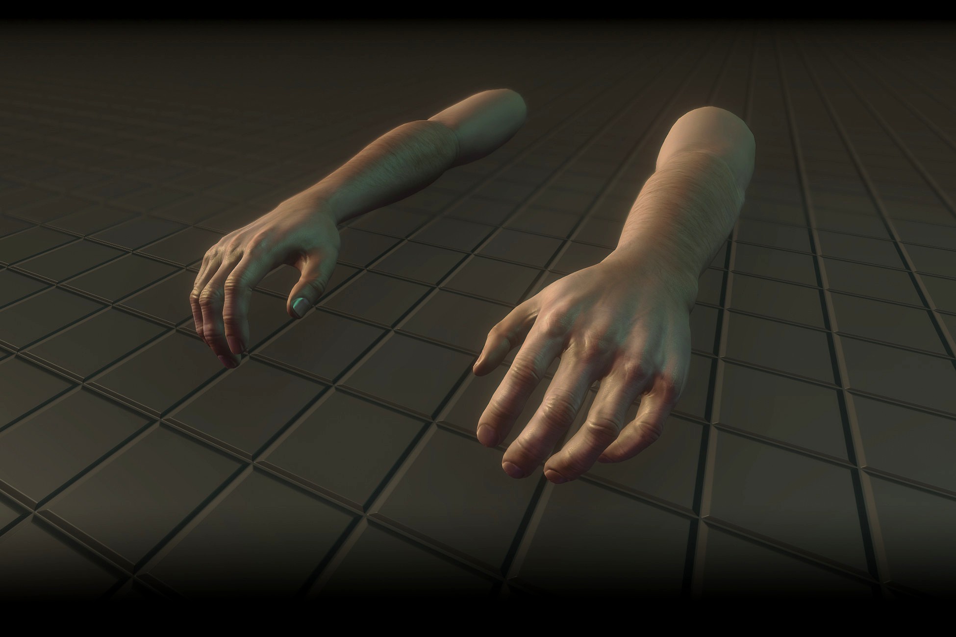 FPS Handy Hands