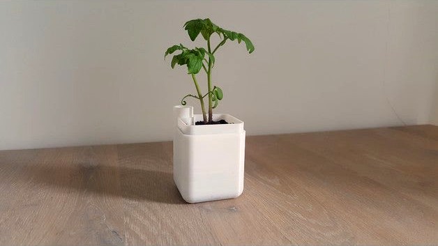 Self-Watering Plant Pot (Small) by Floris2003