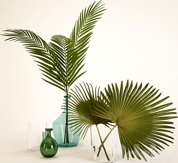 palm leaves in a vase